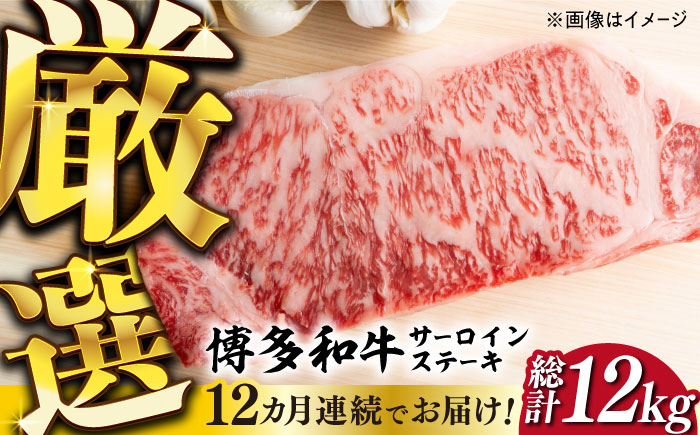 【全12回定期便】【溢れる肉汁と濃厚な旨味】博多和牛サーロイン1kg（250g×4枚）《築上町》【株式会社MEAT PLUS】 [ABBP053]
