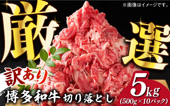 【訳あり】博多和牛 切り落とし 5kg(500g×10p）《築上町》【株式会社MEAT PLUS】 [ABBP066]
