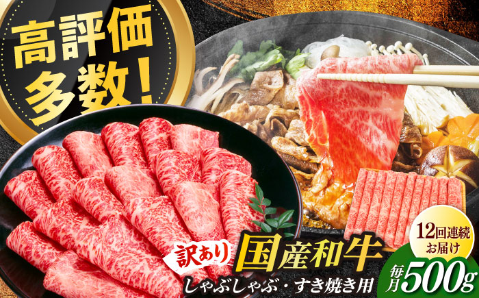 【全12回定期便】【訳あり】博多和牛 しゃぶしゃぶすき焼き用 500g《築上町》【株式会社MEAT PLUS】 [ABBP093]