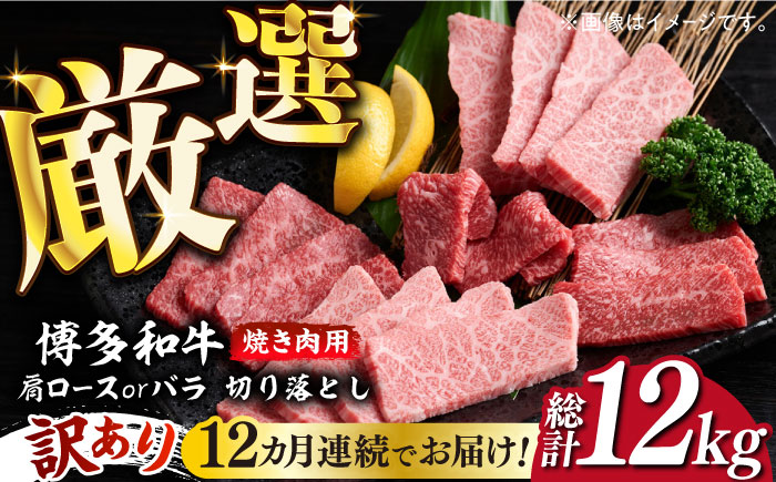 【全12回定期便】【訳あり】博多和牛 焼肉 切り落とし1kg（500g×2p）《築上町》【MEAT PLUS】肉 お肉 牛肉 [ABBP156]