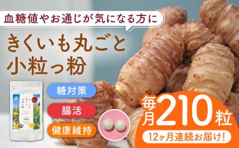【全12回定期便】きくいも 丸ごと小粒っ粉 1袋 210粒 《築上町》【合同会社豊築マルシェモンステラ】 菊芋 サプリメント サプリ [ABBZ012]