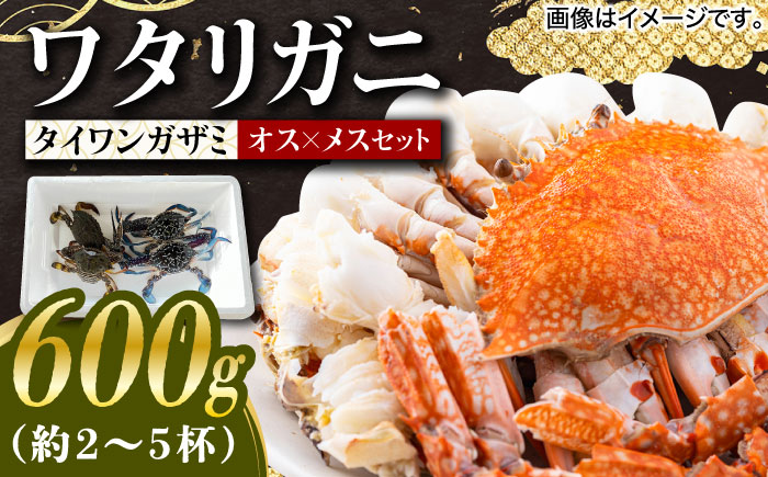 【30セット限定！予約受付】豊前海産 タイワンガザミ 600g (2?5杯前後) オス メス セット 《築上町》【明青丸】 ワタリガニ 渡り蟹 蟹 カニ [ABCB003]