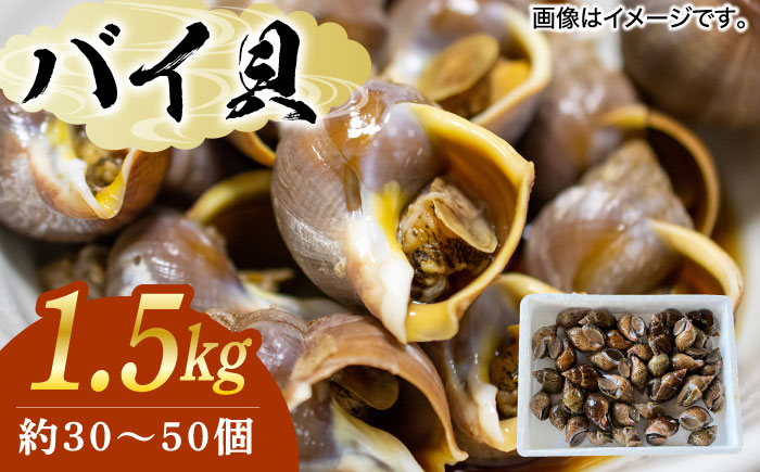 【30セット限定！予約受付】豊前海産 バイ貝 1.5kg (30?50個前後) 《築上町》【明青丸】 バイガイ 貝 カイ [ABCB004]