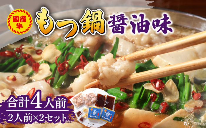 国産牛 もつ鍋 醤油味2人前×2セット（計4人前）〆はマルゴめん 福岡県産の米粉麺付き《築上町》【株式会社マル五】 [ABCJ033]