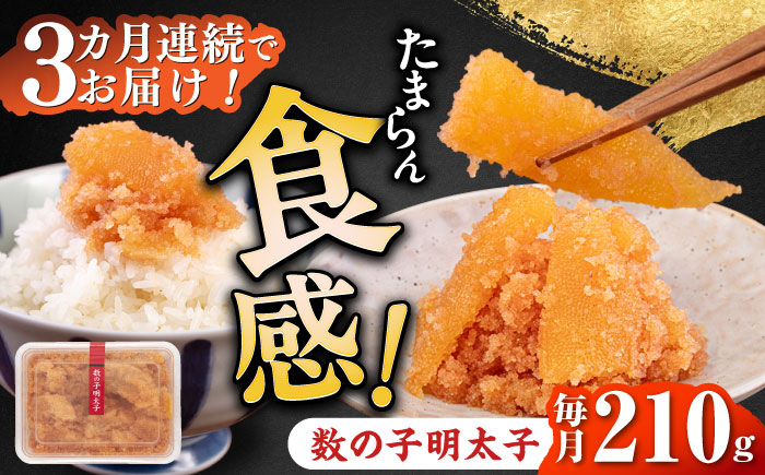 【全3回定期便】数の子明太子210g《築上町》【株式会社マル五】 [ABCJ090]