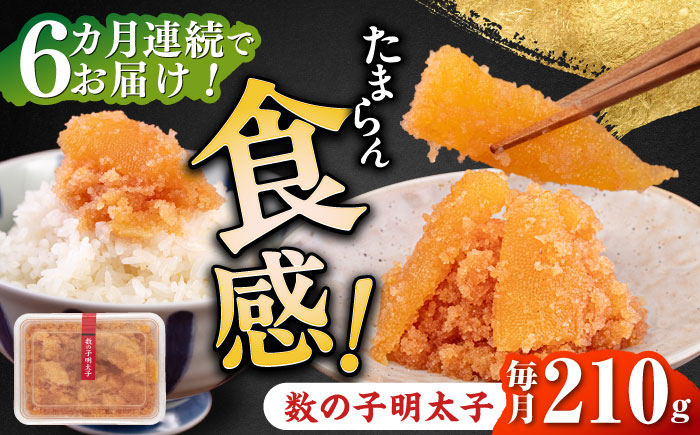 【全6回定期便】数の子明太子210g《築上町》【株式会社マル五】 [ABCJ091]