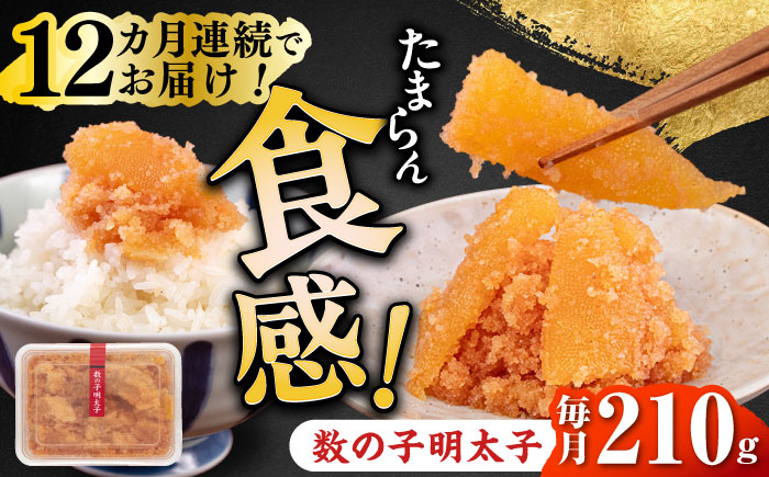 【全12回定期便】数の子明太子210g《築上町》【株式会社マル五】 [ABCJ092]