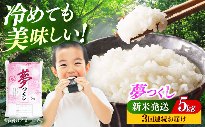 【全3回定期便】 【令和7年度産 新米！】福岡県産米 夢つくし 5kg 精米《築上町》【有限会社ファインリョーコク】 [ABCO022]