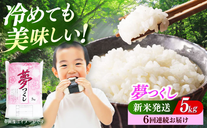 【全6回定期便】 【令和7年度産 新米！】福岡県産米 夢つくし 5kg 精米《築上町》【有限会社ファインリョーコク】 [ABCO023]