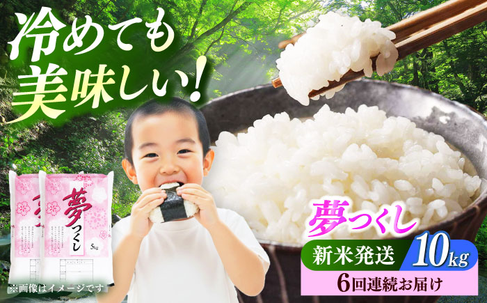 【全6回定期便】 【令和7年度産 新米！】福岡県産米 夢つくし 10kg(5kgx2袋) 精米《築上町》【有限会社ファインリョーコク】 [ABCO026]