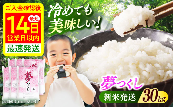 【令和7年度産 新米！】福岡県産米 夢つくし30kg(5kgx6袋) 精米《築上町》【有限会社ファインリョーコク】 [ABCO030]