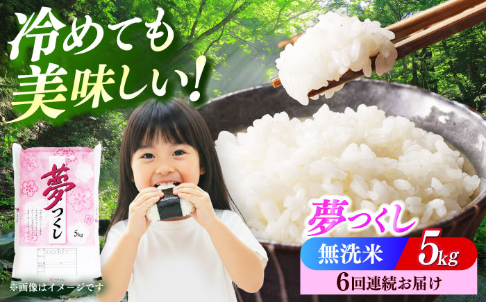 【全6回定期便】【令和7年度産】無洗米 無洗米 夢つくし 5kg 精米 有限会社ファインリョーコク/築上町 [ABCO035]