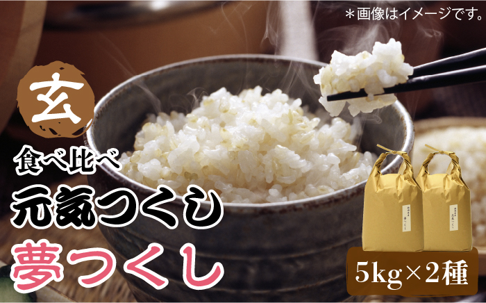 【先行予約】福岡県産【特A米】元気つくし【A米】夢つくしの食べ比べ 各5kg×2袋 [10kg] [玄米]【2024年11月下旬以降順次発送】《築上町》【株式会社ベネフィス】 [ABDF035] 精米 米 ご飯 ごはん こめ