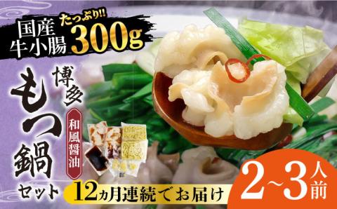 【全12回定期便】博多もつ鍋セット（和風醤油仕立て）2～3人前《築上町》【株式会社ベネフィス】 [ABDF042]