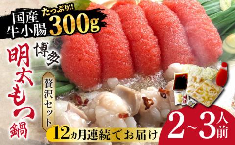 【全12回定期便】博多明太もつ鍋セット（2～3人前）《築上町》【株式会社ベネフィス】 [ABDF048]