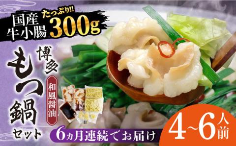 【全6回定期便】博多もつ鍋セット（和風醤油仕立て）国産牛もつ 600g 4～6人前《築上町》【株式会社ベネフィス】 [ABDF053]