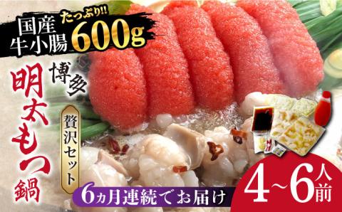 【全6回定期便】博多明太もつ鍋セット（4～6人前）《築上町》【株式会社ベネフィス】 [ABDF059]