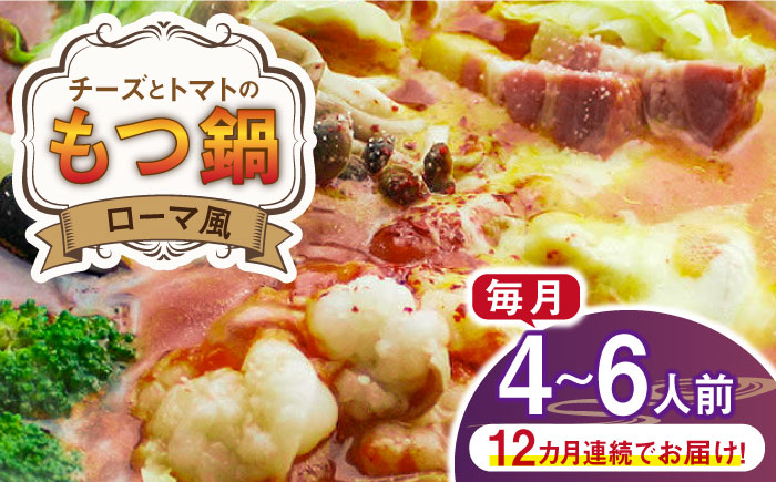 【全12回定期便】チーズとトマトのローマ風もつ鍋（4～6人前）《築上町》【株式会社ベネフィス】 [ABDF063]