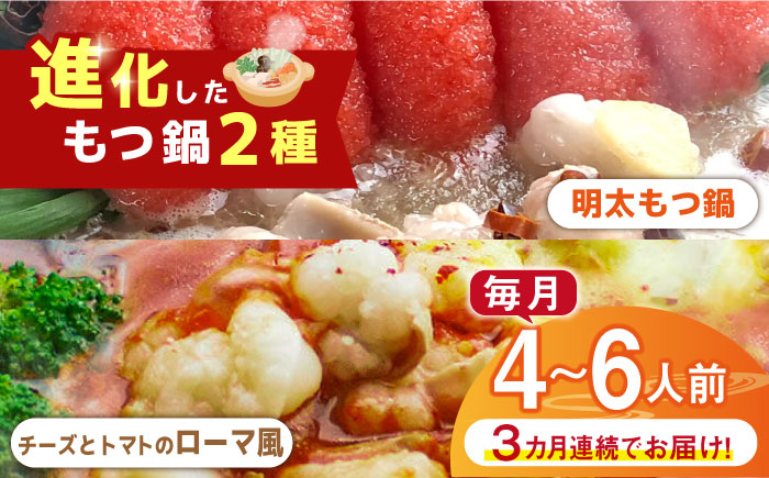 【全3回定期便】博多鍋セット（2） 進化したもつ鍋！「明太もつ鍋」と「トマトとチーズのローマ風もつ鍋」4～6人前《築上町》【株式会社ベネフィス】 [ABDF094]