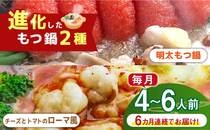 【全6回定期便】博多鍋セット（2） 進化したもつ鍋！「明太もつ鍋」と「トマトとチーズのローマ風もつ鍋」4～6人前《築上町》【株式会社ベネフィス】 [ABDF095]