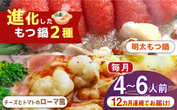 【全12回定期便】博多鍋セット（2） 進化したもつ鍋！「明太もつ鍋」と「トマトとチーズのローマ風もつ鍋」4～6人前《築上町》【株式会社ベネフィス】 [ABDF096]