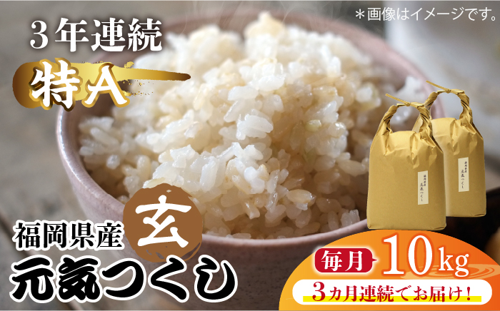 【先行予約】【全3回定期便】福岡県産【特A】評価のお米「元気つくし」5kg×2袋 [10kg] [玄米]【2024年11月下旬以降順次発送】《築上町》【株式会社ベネフィス】 [ABDF118] ご飯 ごはん 米 こめ コメ おにぎり