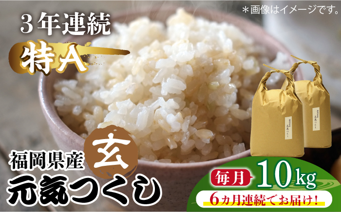 【先行予約】【全6回定期便】福岡県産【特A】評価のお米「元気つくし」5kg×2袋 [10kg] [玄米]【2024年11月下旬以降順次発送】《築上町》【株式会社ベネフィス】 [ABDF119] ご飯 ごはん 米 こめ コメ おにぎり