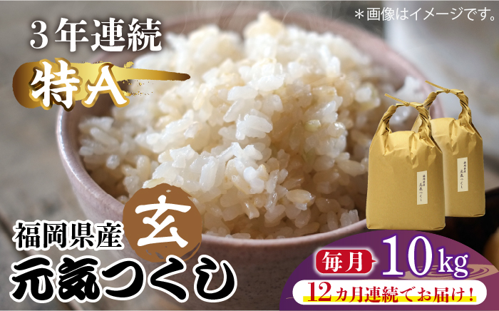 【先行予約】【全12回定期便】福岡県産【特A】評価のお米「元気つくし」5kg×2袋 [10kg] [玄米]【2024年11月下旬以降順次発送】《築上町》【株式会社ベネフィス】 [ABDF120] ご飯 ごはん 米 こめ コメ おにぎり