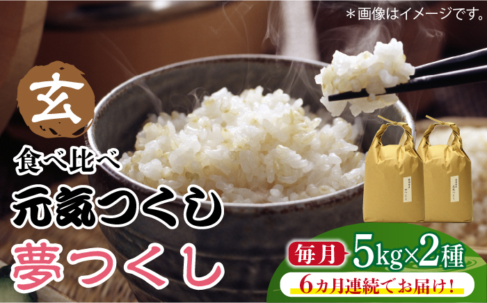 【先行予約】【全6回定期便】福岡県産【特A米】元気つくし【A米】夢つくしの食べ比べ 各5kg×2袋 [10kg] [玄米]【2024年11月下旬以降順次発送】《築上町》【株式会社ベネフィス】 [ABDF131]  ご飯 ごはん 米 こめ コメ おにぎり