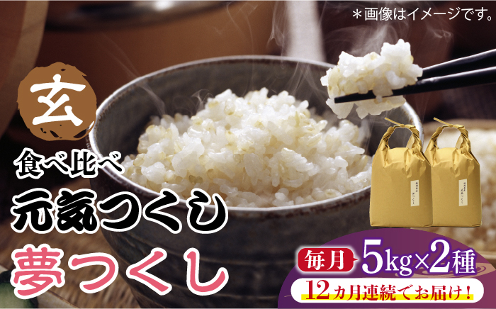 【先行予約】【全12回定期便】福岡県産【特A米】元気つくし【A米】夢つくしの食べ比べ 各5kg×2袋 [10kg] [玄米]【2024年11月下旬以降順次発送】《築上町》【株式会社ベネフィス】 [ABDF132] ご飯 ごはん 米 こめ コメ おにぎり