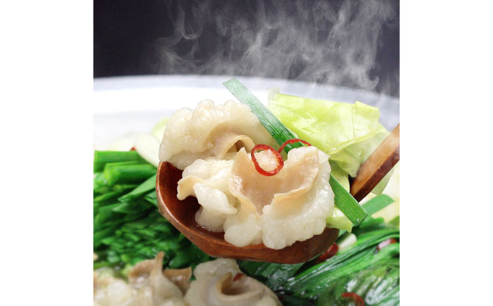 博多もつ鍋セット(九州味噌仕立て) 2～3人前 国産牛もつ300g《築上町》【株式会社ベネフィス】 [ABDF135]