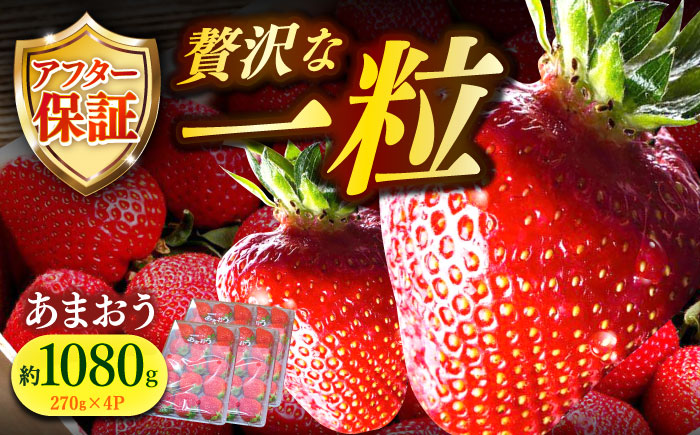 【1月上旬より順次発送】農家直送 朝採り新鮮いちご【博多あまおう】約270g×4パック《築上町》【株式会社H&Futures】 [ABDG002]