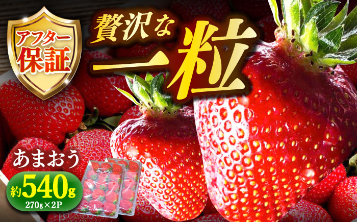 【2月より順次発送】農家直送 朝採り新鮮いちご【博多あまおう】約270g×2《築上町》【株式会社H&Futures】 [ABDG003]