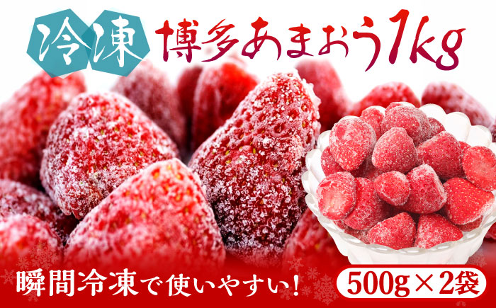 福岡県産【博多冷凍あまおう】約500g×2袋 合計約1kg《築上町》【株式会社H&Futures】 [ABDG005]