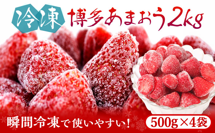 福岡県産【博多冷凍あまおう】約500g×4袋 合計約2kg《築上町》【株式会社H&Futures】 [ABDG007]