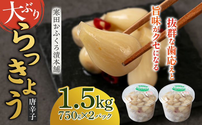 【2026年7月中旬以降順次発送】らっきょう 1.5kg（唐辛子）《築上町》【寒田おふくろ漬本舗】 [ABDO003]