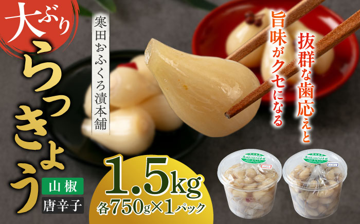 【2026年7月中旬以降順次発送】らっきょう 1.5kg（唐辛子750g・山椒750g）《築上町》【寒田おふくろ漬本舗】 [ABDO005]