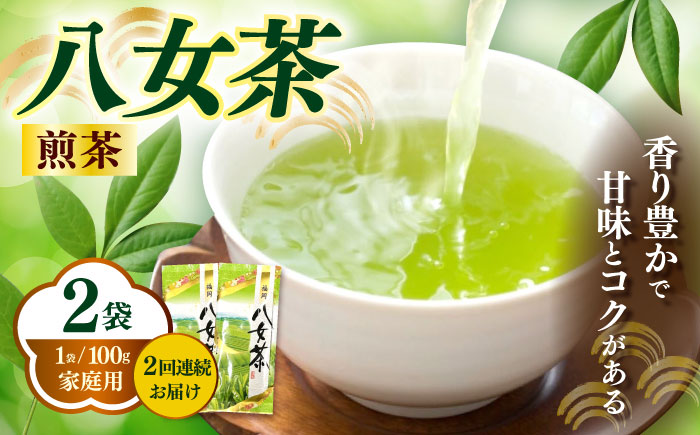 【全2回定期便】八女茶煎茶 100g×2袋《築上町》【株式会社木村食品(千代海苔株式会社)】お茶 茶 緑茶 ギフト [ABEI035]