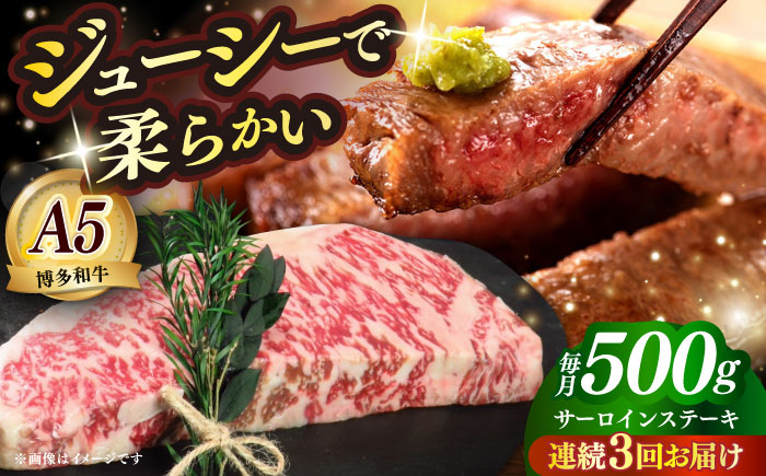 【全3回定期便】国産 博多和牛 A5ランク サーロイン ステーキ 250g×2枚 雌 ≪築上町≫【KRAZY MEAT】 ステーキ 和牛 肉 BBQ [ABEN014]