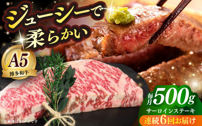 【全6回定期便】国産 博多和牛 A5ランク サーロイン ステーキ 250g×2枚 雌 ≪築上町≫【KRAZY MEAT】 ステーキ 和牛 肉 BBQ [ABEN015]