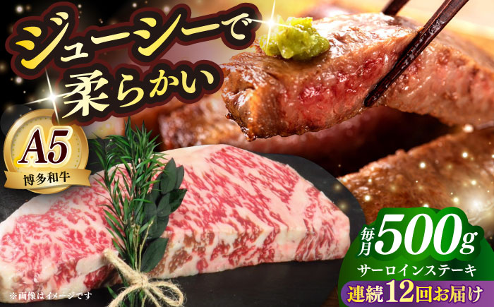 【全12回定期便】国産 博多和牛 A5ランク サーロイン ステーキ 250g×2枚 雌 ≪築上町≫【KRAZY MEAT】 ステーキ 和牛 肉 BBQ [ABEN016]