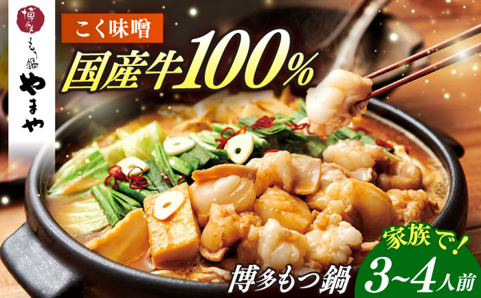 博多もつ鍋やまや もつ鍋 こく味噌味(3～4人前) [ABES019]