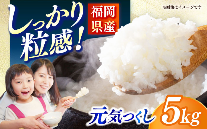 【令和7年産】果物屋さんが選んだ米 元気つくし 5kg 《築上町》【南国フルーツ株式会社】米 白米 お米 ブランド米 [ABET010]