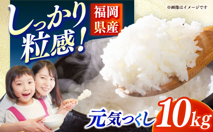 【令和7年産】果物屋さんが選んだ米 元気つくし 10kg 《築上町》【南国フルーツ株式会社】米 白米 お米 ブランド米 [ABET011]