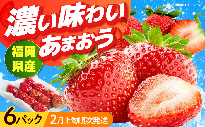 【2月上旬より発送】福岡産【春】 あまおう 6パック 《築上町》【南国フルーツ株式会社】果物 苺 いちご [ABET012]