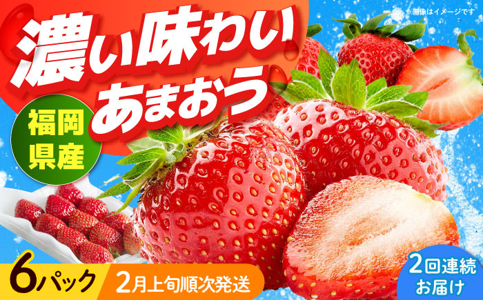 【全2回定期便】福岡産【春】 あまおう 6パック 《築上町》【南国フルーツ株式会社】果物 苺 いちご [ABET027]