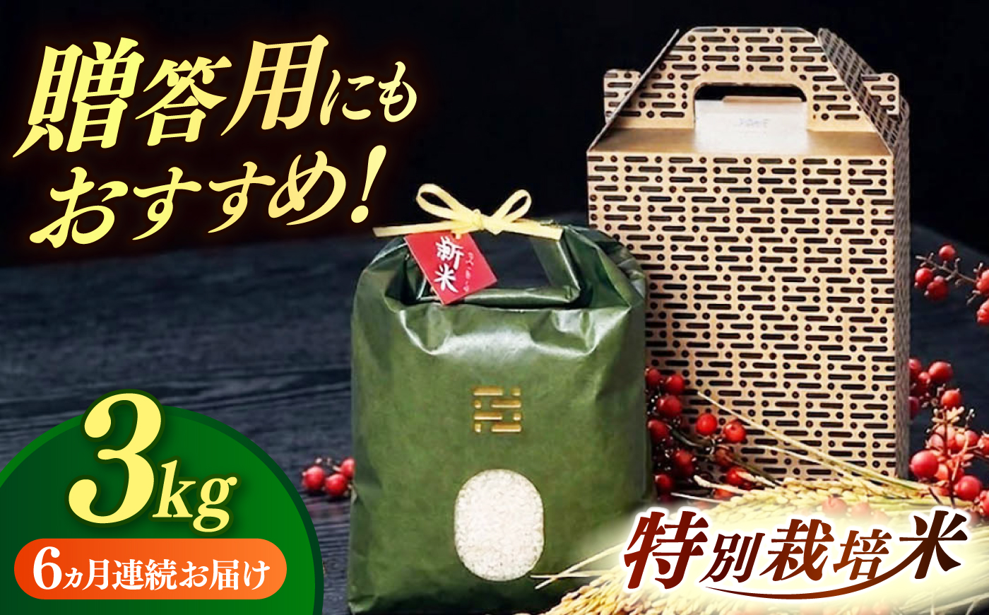 【全6回定期便】 とくべつ の中の とくべつ  特別栽培米 夢つくし 3kg 【築上町】 / itoshimacco / 株式会社やました [ABEX003]