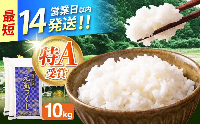 令和7年産　福岡県　元気つくし　10kg（5kg×2袋）《築上町》【カネガエ】 [ABFA005]
