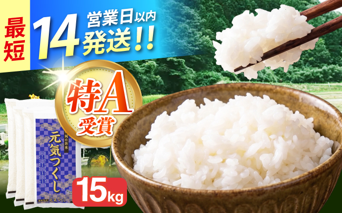 令和7年産 福岡県 元気つくし 15kg（5kg×3袋）《築上町》【カネガエ】 [ABFA006]
