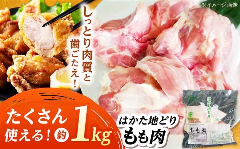 はかた地どり もも肉(約1kg)《築上町》【吉浦コーポレーション】 はかた地どり もも肉 鶏肉 地鶏 国産 [ABFF002]